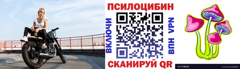 Купить  Магадан  Галлюциногенные грибы мицелий 